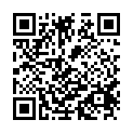 To view this 2009 Volkswagen GTI W12 650 Las Vegas  from AutoSTRADAdemo2, please scan this QR code with your smartphone or tablet to view the mobile version of this page.